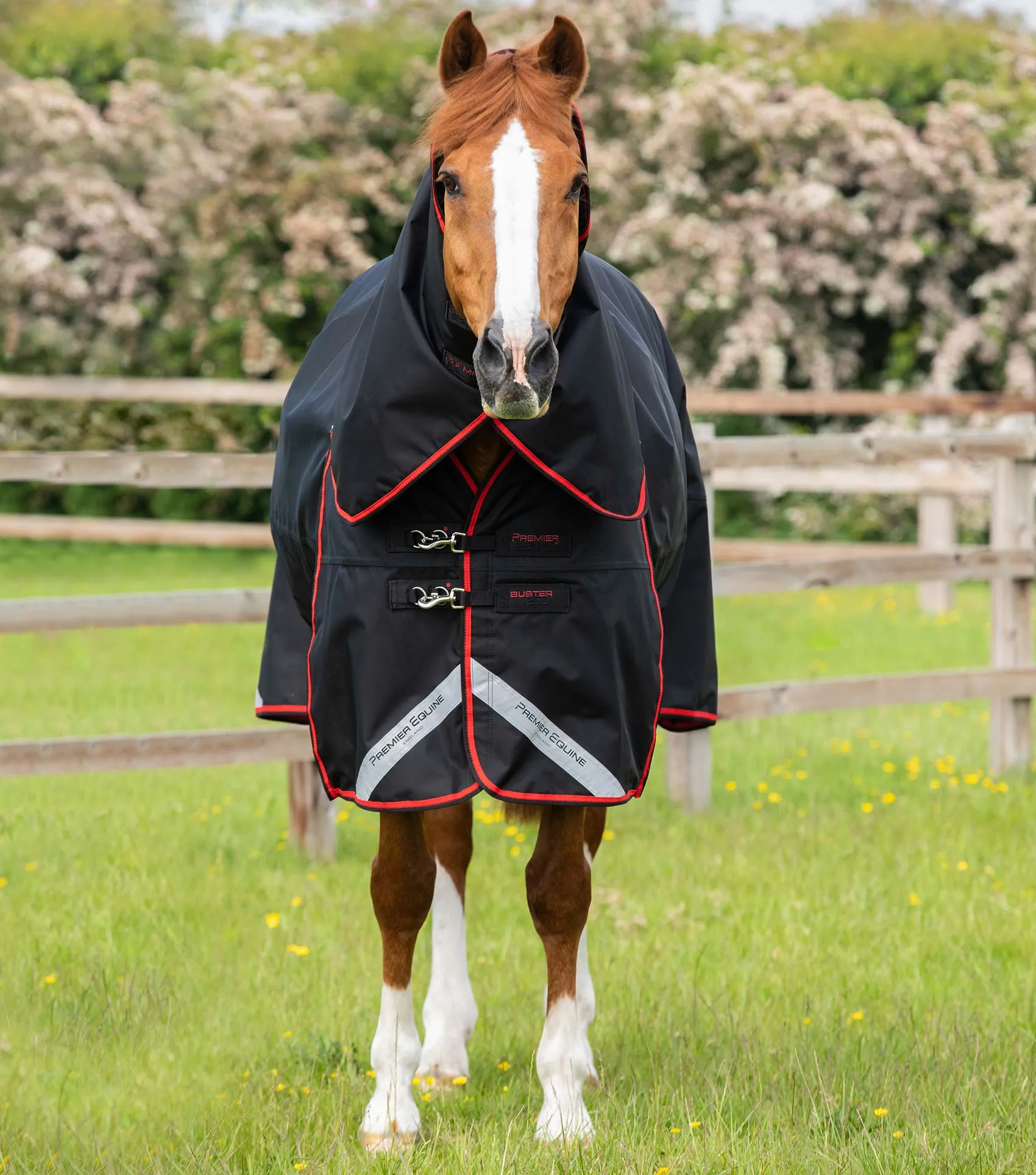 Buster 250g Turnout Rug with Classic Neck Cover Black