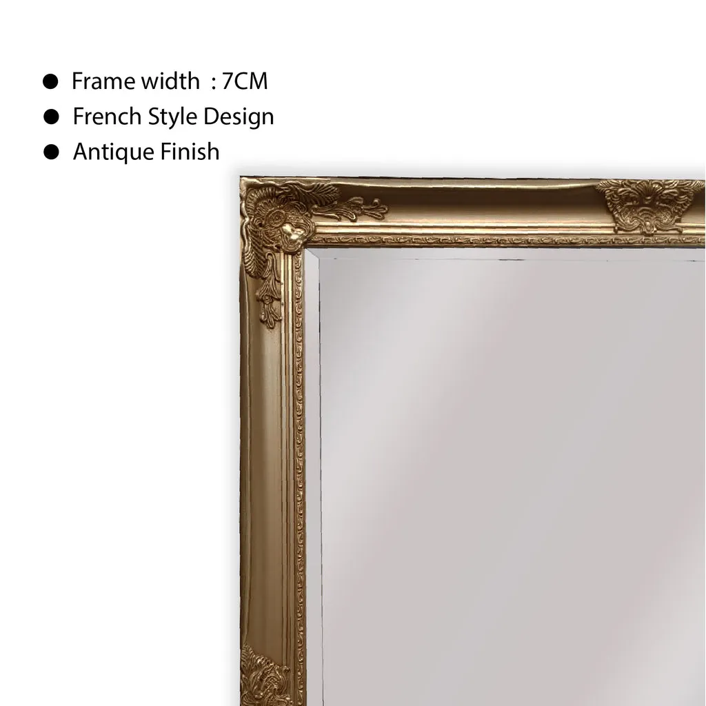 Intricate Antique Champagne Mirror 70x170cm - French Provincial